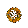 FIREWORK